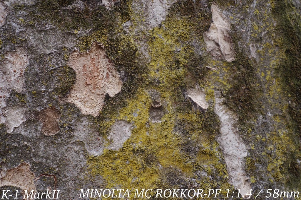MINOLTA MC ROKKOR-PF 1:1.4 / 58mm