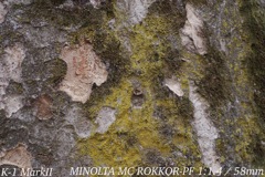 MINOLTA MC ROKKOR-PF 1:1.4 / 58mm