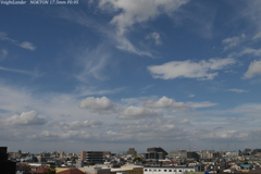 青と白
