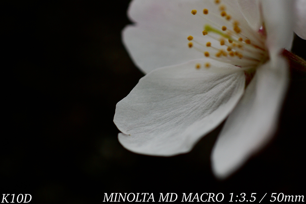 A2BC46F8-FA9C-45FA-92FB-F9CBCF6AC6B7