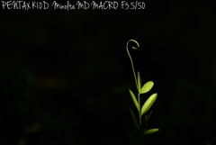 MINOLTA MD MACRO F3.5/50