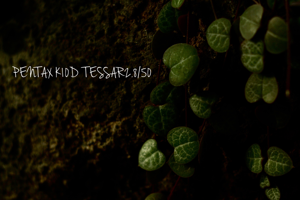 TESSAR2.8/50