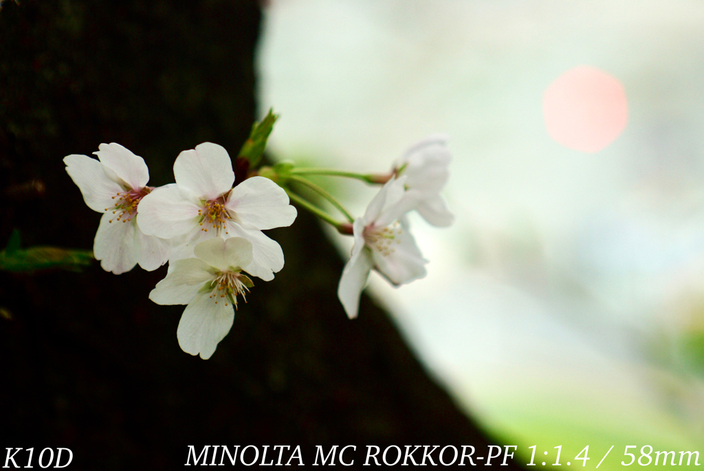 B8D00817-A46C-4F2E-A9DF-C66CEF24E081