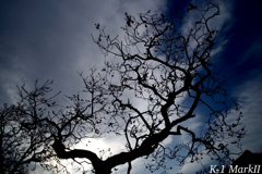 SMC PENTAX 1:2.8 / 24mm