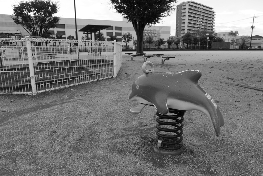 雨上がりの公園