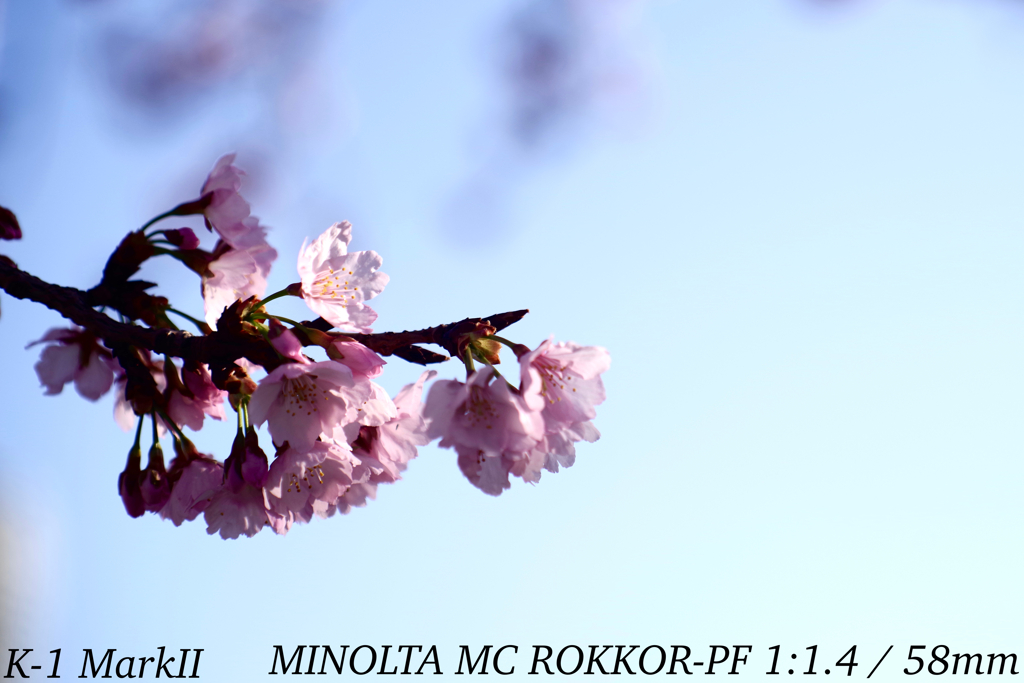 MINOLTA MC ROKKOR-PF 1:1.4 / 58mm
