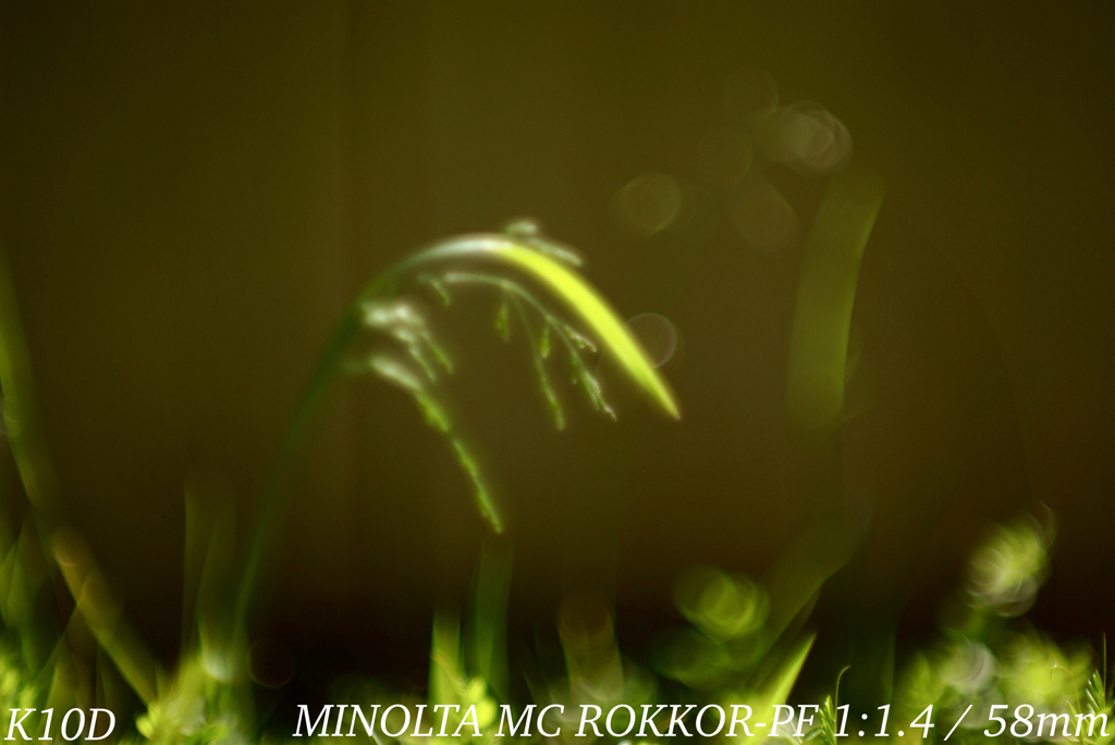 MINOLTA MC ROKKOR-PF 1:1.4 / 58mm