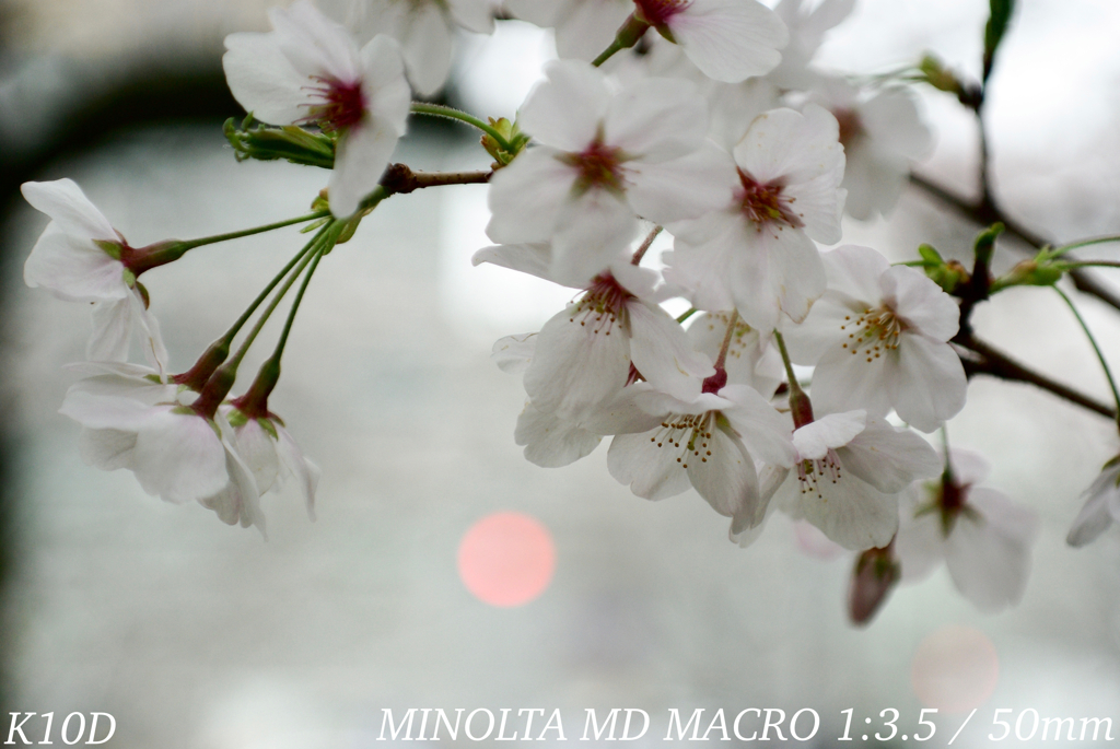 7E1E7C1B-6E4F-4D96-9E91-A3FC944DE314