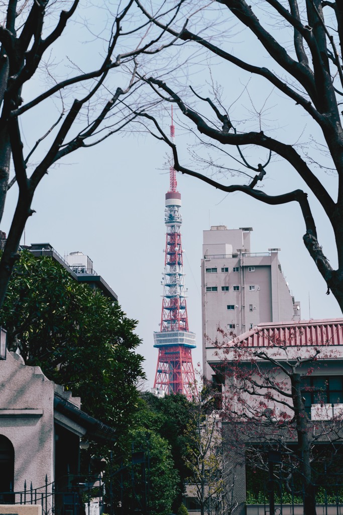 日常と東京タワー