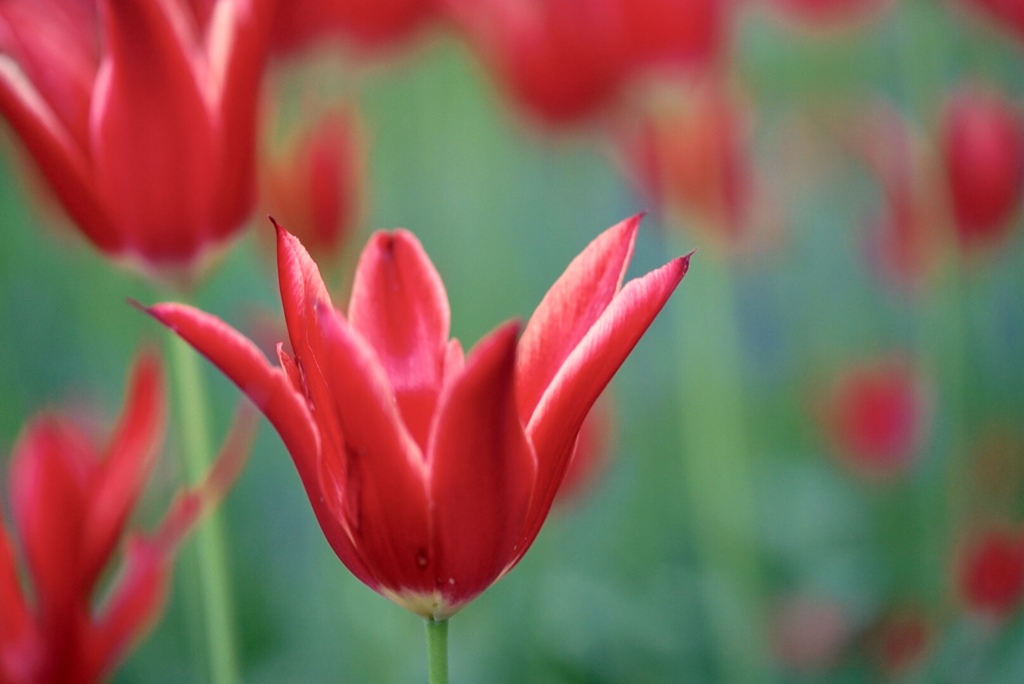 FEB8F70C-6678-45A3-9F9C-4ED7F75857D3