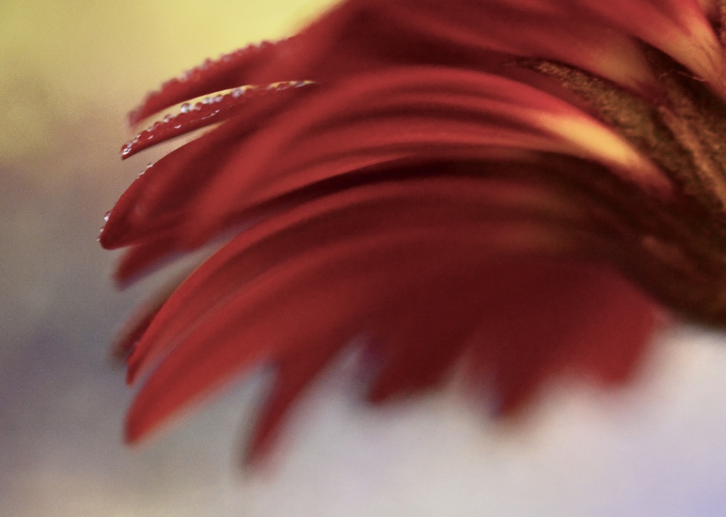 7AB321B8-2688-496E-93D0-782CAAA9F057