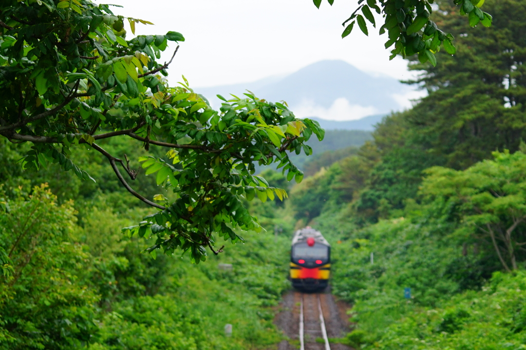 五能線リゾートしらかみ　くまげら編成