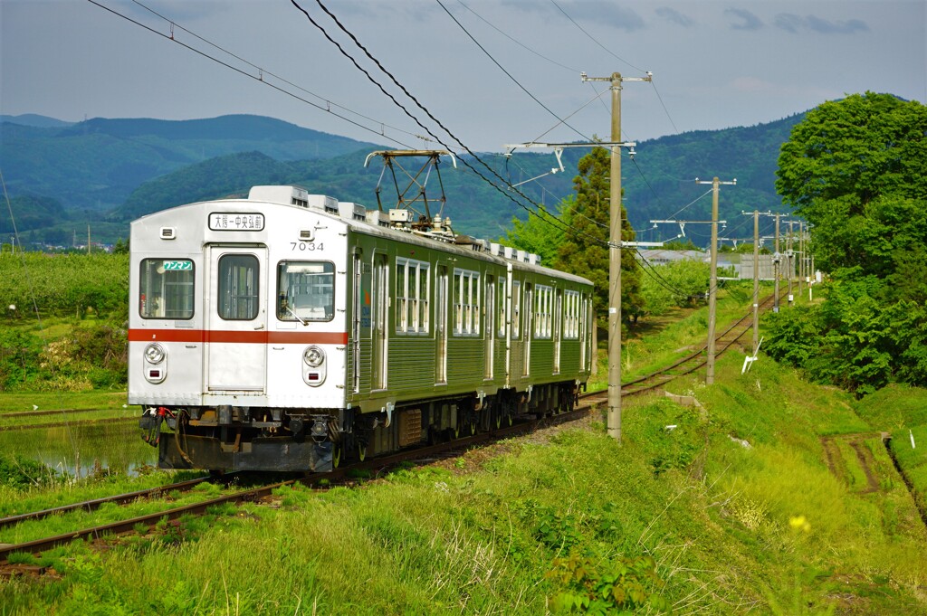 輝く銀色