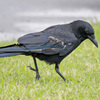 7D2_9524_l