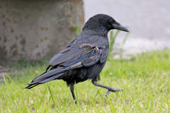 7D2_9522_l