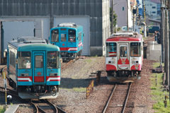 7D2_2471_l