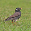 7D2_0523_l