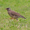 7D2_0507_l