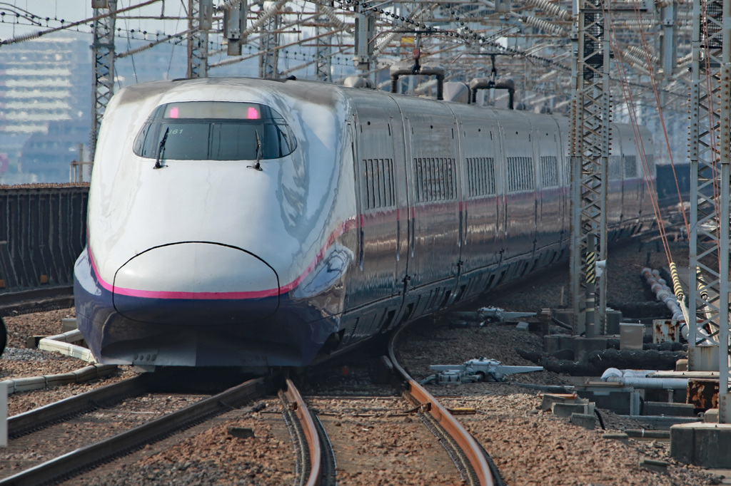 7D2_7674_l