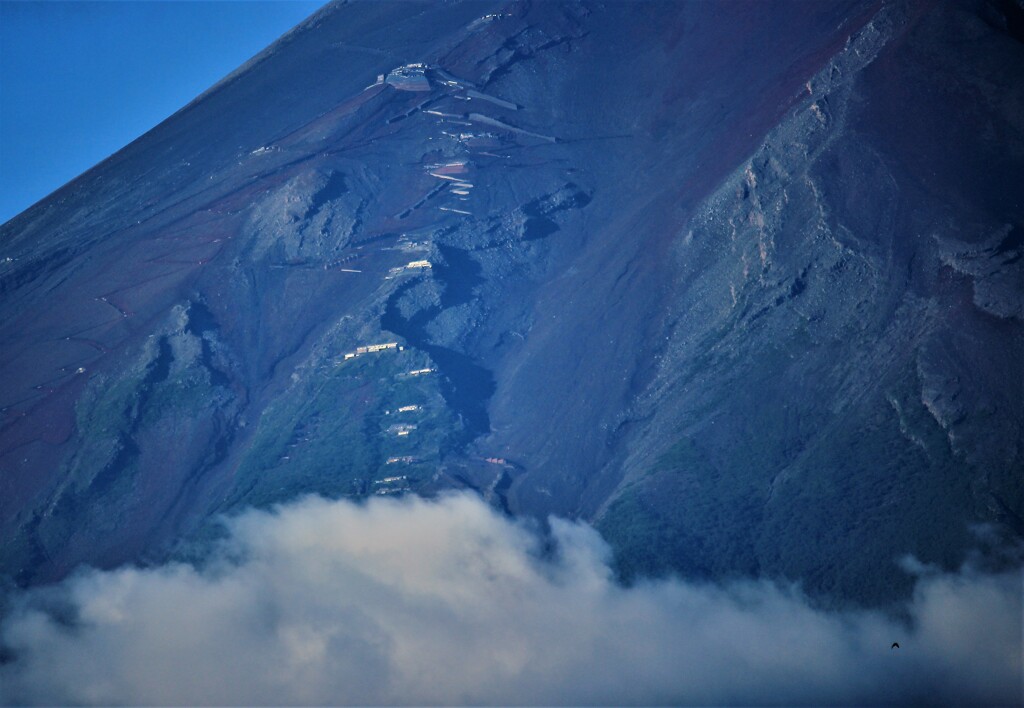 吉田登山道の朝