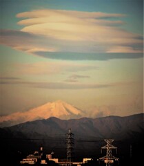 座布団は敷くに限るよ　山田君