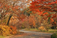 まもなく・・・まさかTOKYO まもなく・・・まさかTOKYO