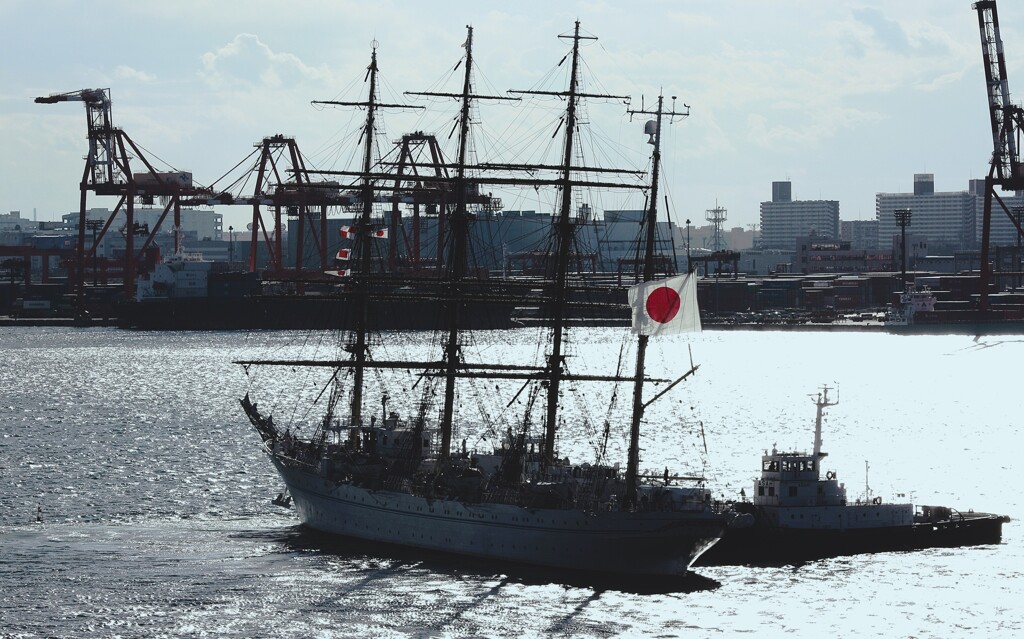 夢で逢えたら