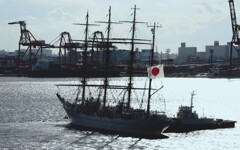 夢で逢えたら