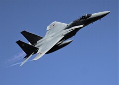 梅組のF15