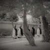 禅僧