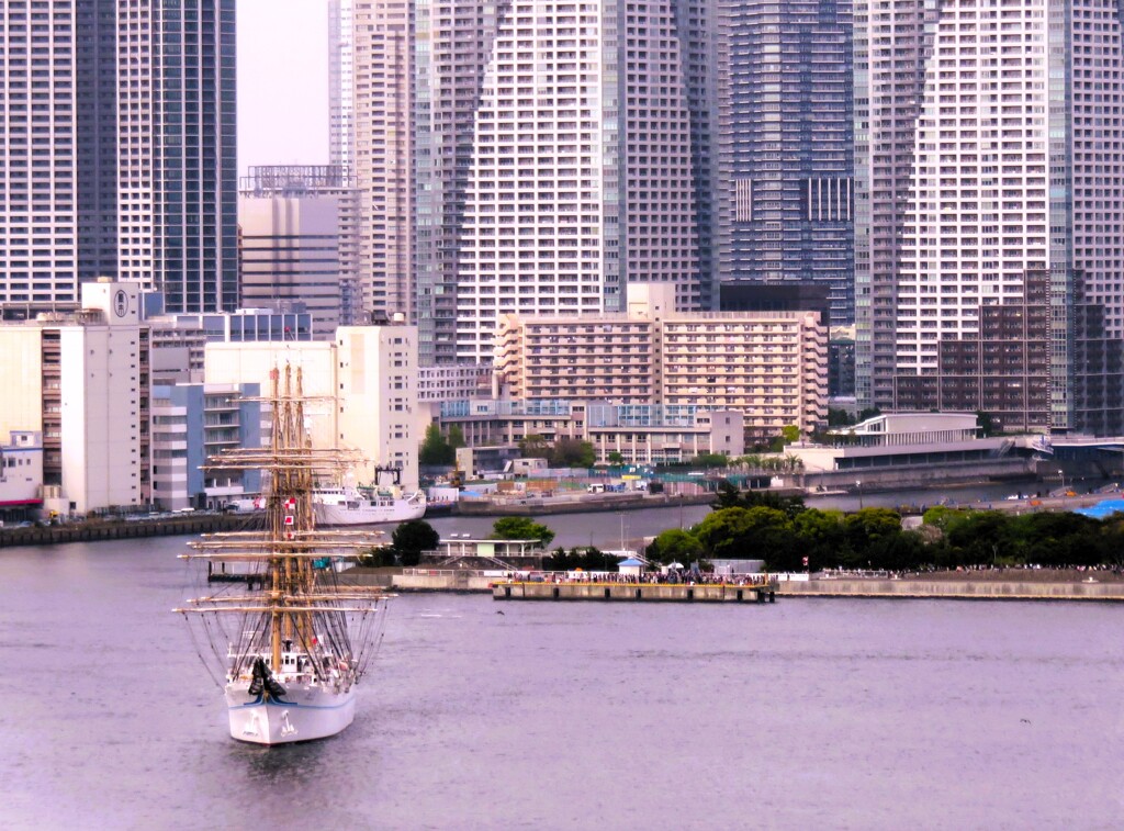 夢で逢えたら