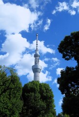 俺たちのスカイツリー
