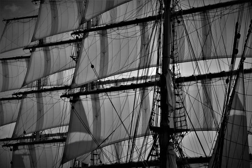 only the winds