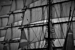 only the winds