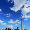 俺たちのスカイツリー