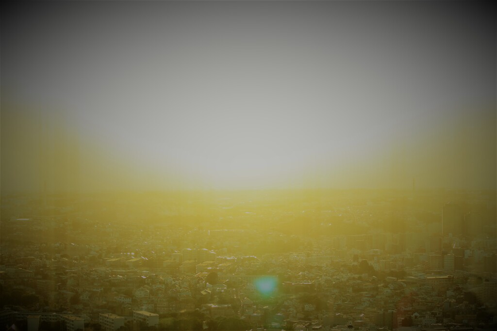 The Day After　20XX