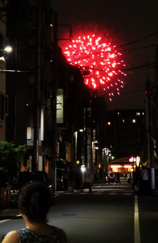 君と見た夏の華