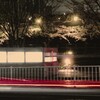 夜桜