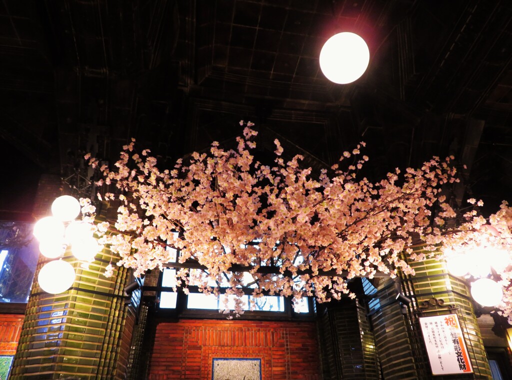 麦酒酒場に桜咲く