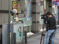 ふらり、パシャリ
