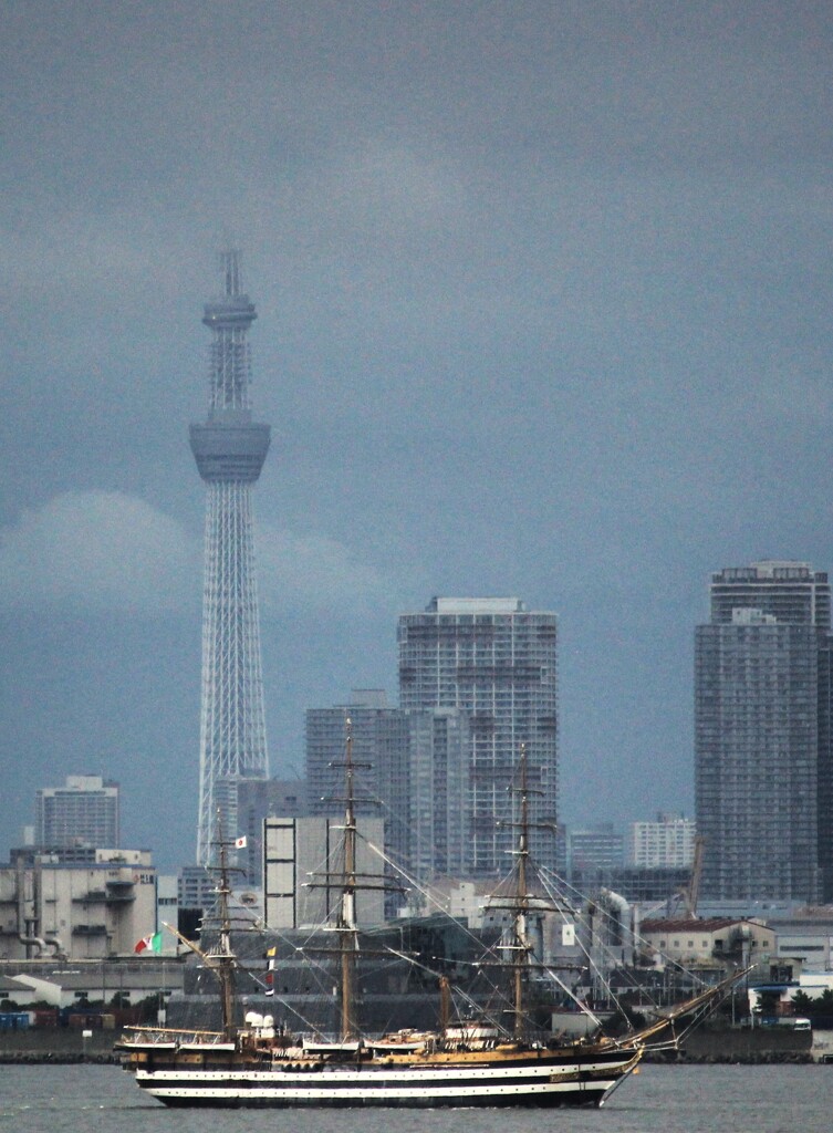 夢で逢えたら