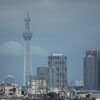 夢で逢えたら