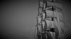 only the winds