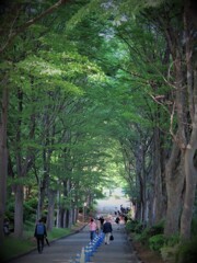 まさか・TOKYO