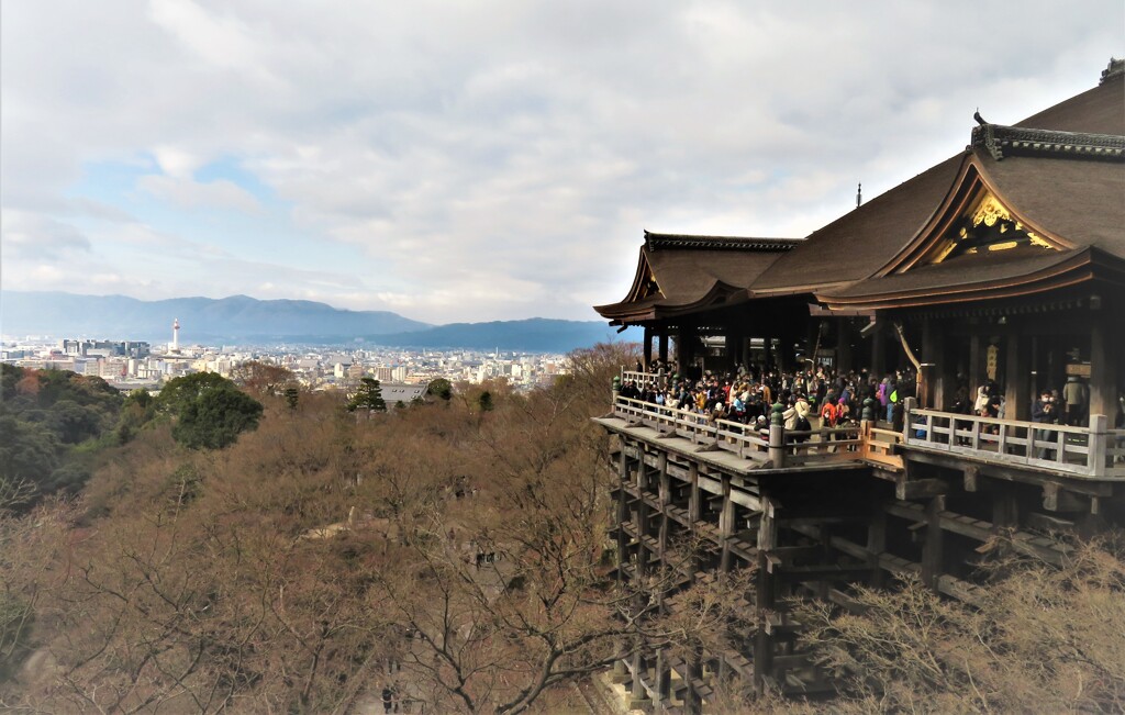 令和5年正月　音羽山　清水寺本堂