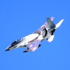 小松の空　2024