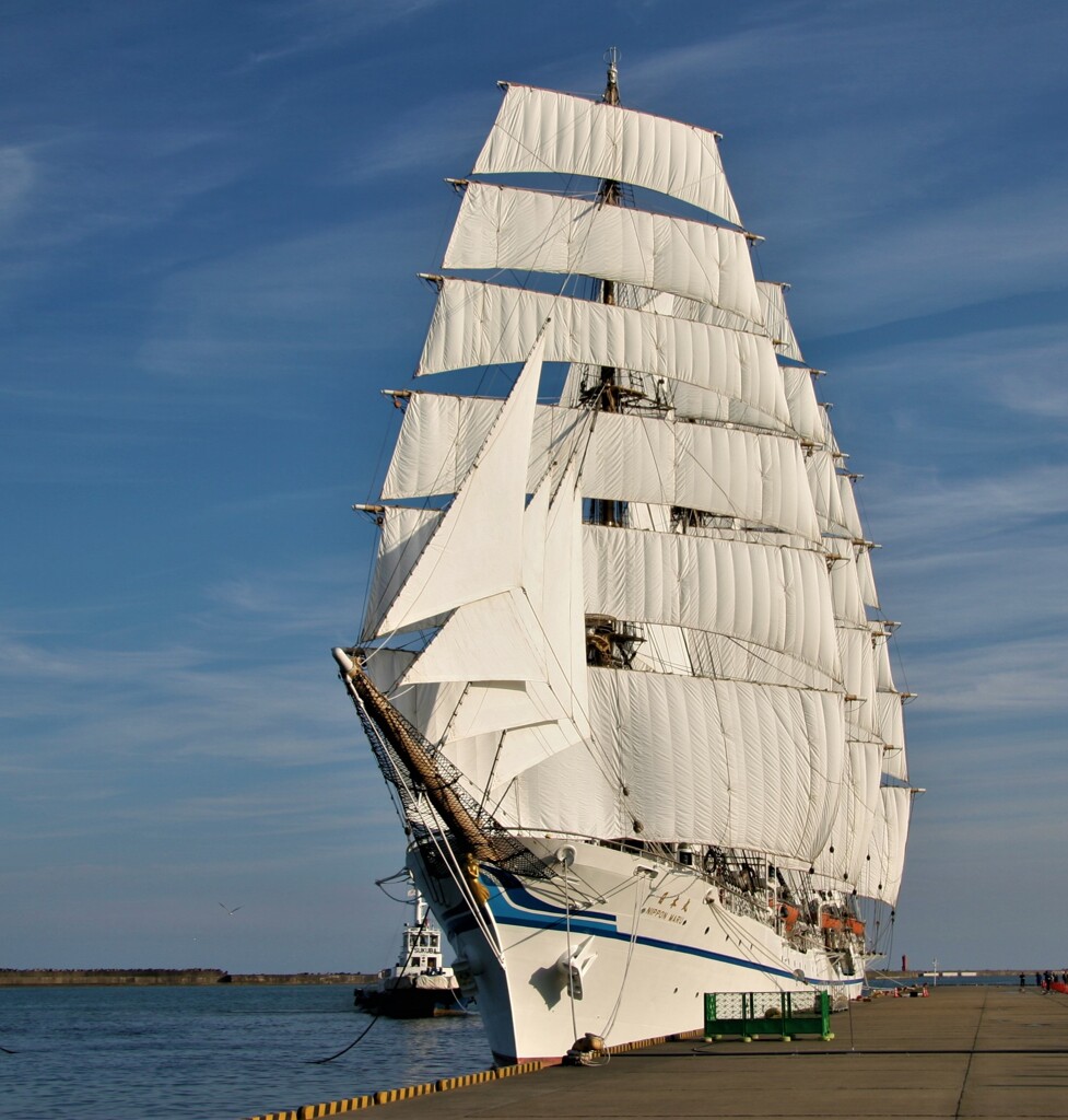 セイル・ホー～若き日の帆船見学