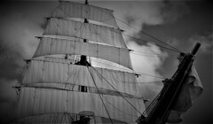 only the winds