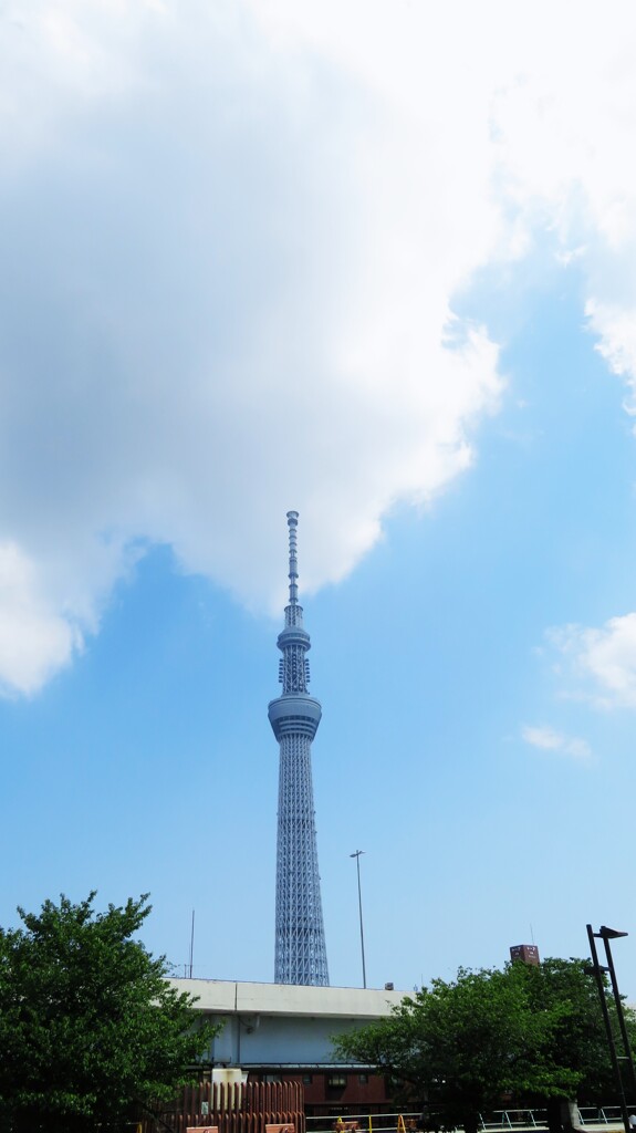 俺たちのスカイツリー