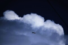 空行く者
